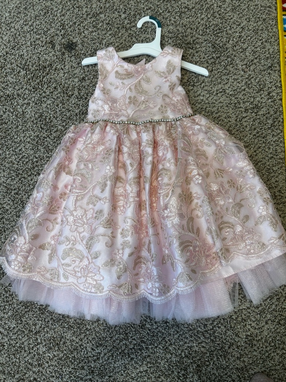 American Princess Pink and Gold Floral Embroidered Party Dress